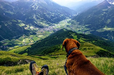 Che cosa ci racconta il paesaggio