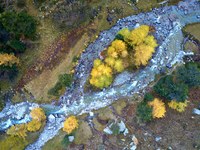Conservare e rinaturalizzare i corsi d’acqua di montagna