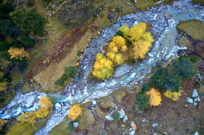 Conservare e rinaturalizzare i corsi d’acqua di montagna