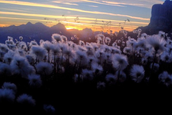 Gestione dei flussi di visitatori nelle Alpi