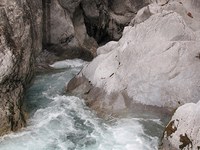 Il vero tesoro delle Alpi