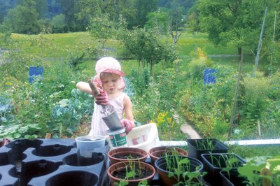 La mia visione delle Alpi