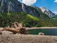 Le Alpi si stanno prosciugando