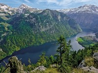 Monitoraggio della biodiversitá alpina