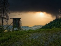 Nuove leggi sulla caccia: perplessità e critiche