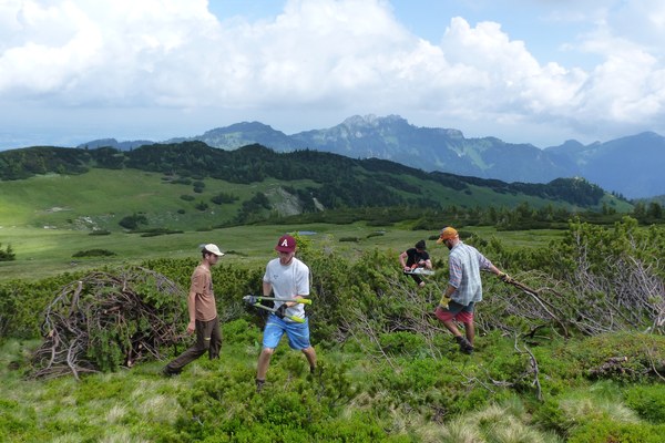 Partecipazione civica: come guadagnare terreno