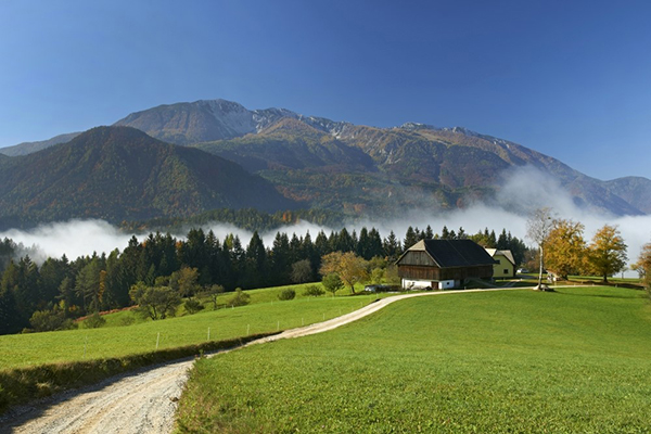 Prospettive per i giovani