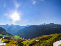 Stress test per la natura
