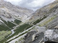 Tutelare la biodiversità alpina