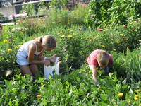 Tutto ciò che può fare la protezione della natura