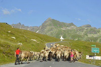 Vacanze estive prolungate grazie ai cambiamenti climatici