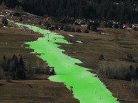 Verde è l’inverno