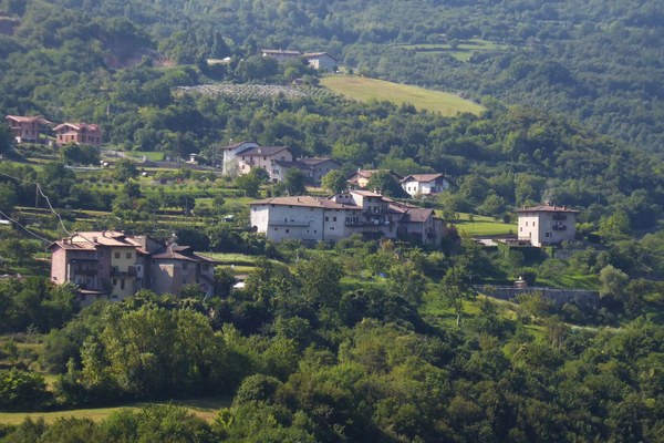 Vigneti al posto di pascoli e boschi?