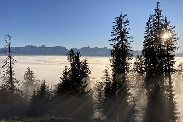 Il paesaggio alpino non è rinnovabile!