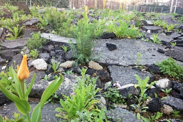 Bodenversiegelung verschärft Hitzeproblem