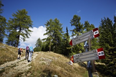 Datenmeer im Bergtourismus