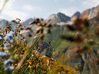 Biodiversität braucht mutige Politik und stringente Umsetzung