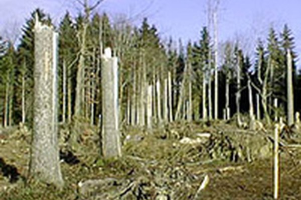 Unwetter-Warn-Tool in Österreich