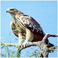 Partnerschaft zwischen Alpen und Karpaten