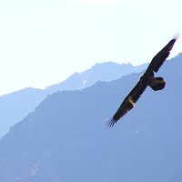 Transalpiner Austausch zur Schutzgebietsforschung