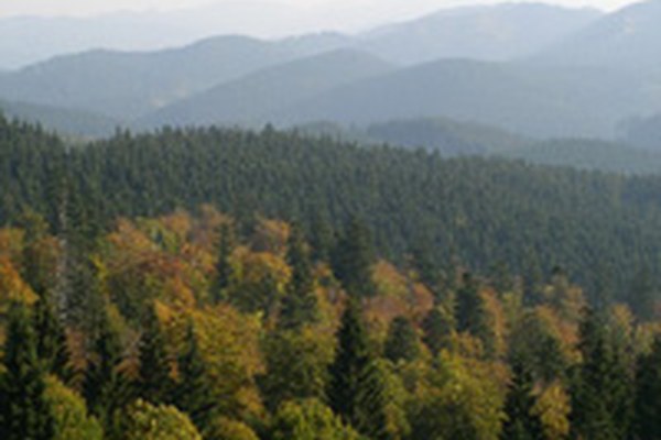 Karpatenkonvention in Kraft