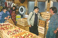 Europa: Verunsicherung für Biolandwirtschaft