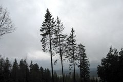 Wetter und Klima in den Alpen