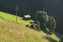 Welche Landwirtschaft für Europa?