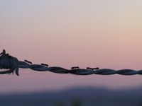 Ein neuer Name für ein bewährtes Heft