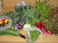 Bioprodukte: grosse Nachfrage - ungenügendes regionales Angebot