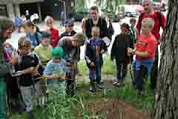"Die besten Fünf" - Neue Broschüre mit Vorschlägen für Ausflugsziele in den Arge-Alp-Ländern