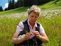 Mehr als 500 Landwirte und Landwirtinnen beobachten Pflanzen