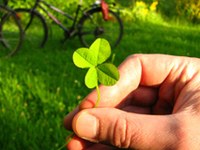 Umwelt- und gesellschaftsverträgliche Veranstaltungen