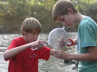 Move it! Arge Alp mobilisiert Jugendliche