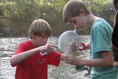 Move it! Arge Alp mobilisiert Jugendliche