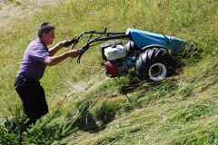 Mehr Geld für Berg- und Biobauern und Bäuerinnen