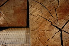 Wirtschaft nachhaltig gestalten