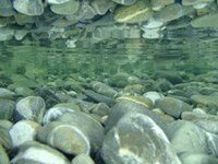 Staatskapital für Kraftwerke in sensiblen Schutzgebieten