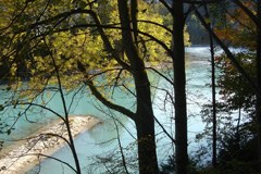 Kraftwerksausbau am Lech auf Kosten des Naturschutz?