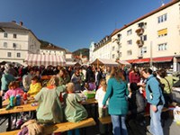 "Alpenstadt-Jahr" eröffnet