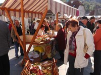 Jahresbericht 2011: "Da machen wir weiter"