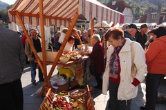 Jahresbericht 2011: "Da machen wir weiter"