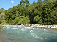 Rambach: Wasserkraft oder Biosphäre?
