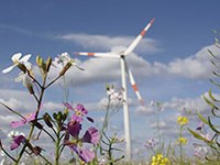 Projekt recharge.green gestartet: Energie und Natur verbinden