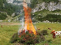 Werbung, Axt und Schafe für Almschutz