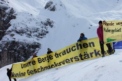 Neue Organisationen für die Alpen