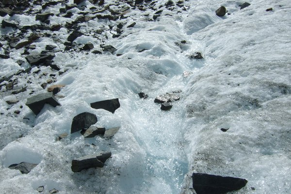 50 Jahre Gletscherforschung