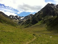 Alpenschneehühner dürfen weiter brüten