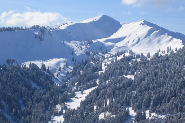 14. Januar: Demo Riedberger Horn