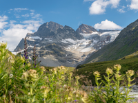 Die letzten Gletscher erleben